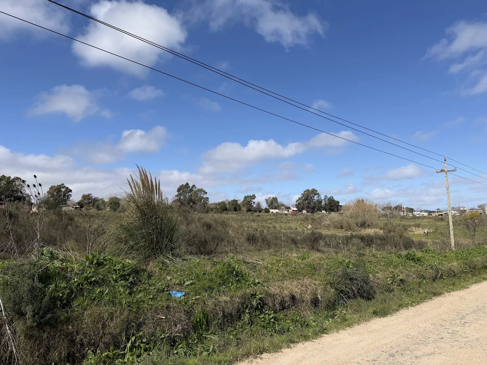 Alquiler - Terreno - Colonia Nicolich - Canelones — 11