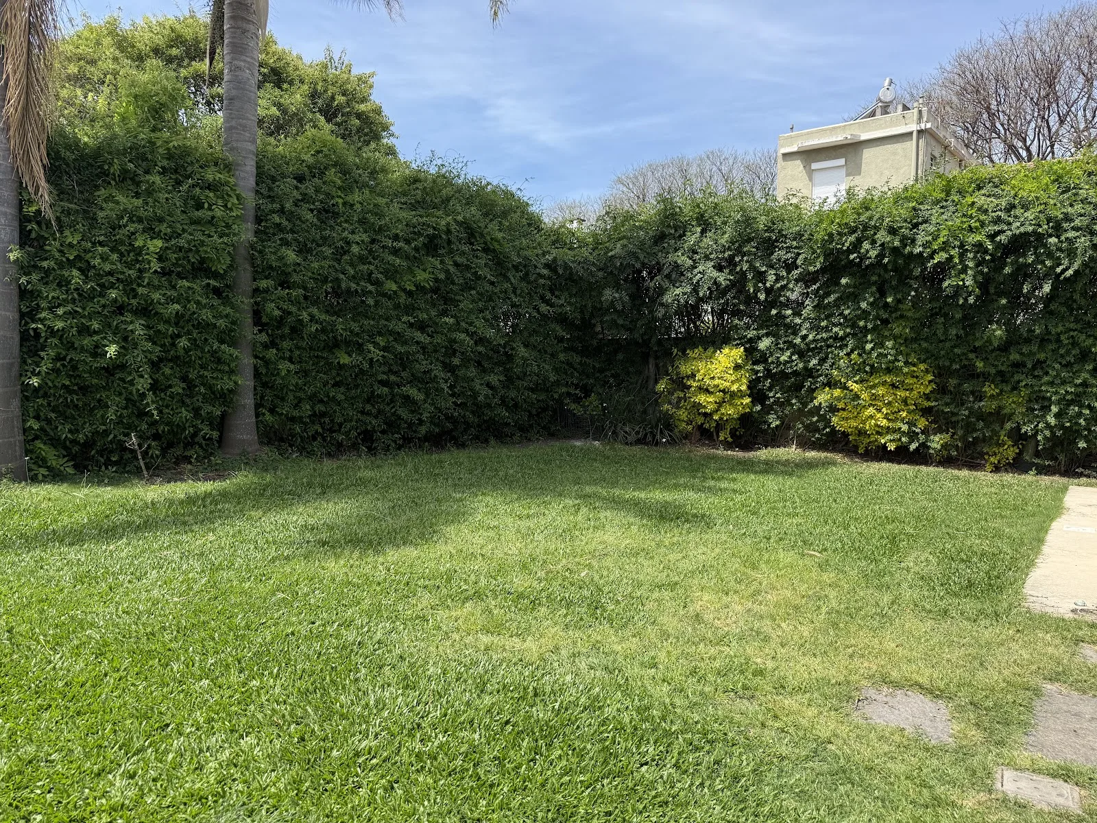 Venta - Casa - Dos Padrones - Parque Batlle — 24