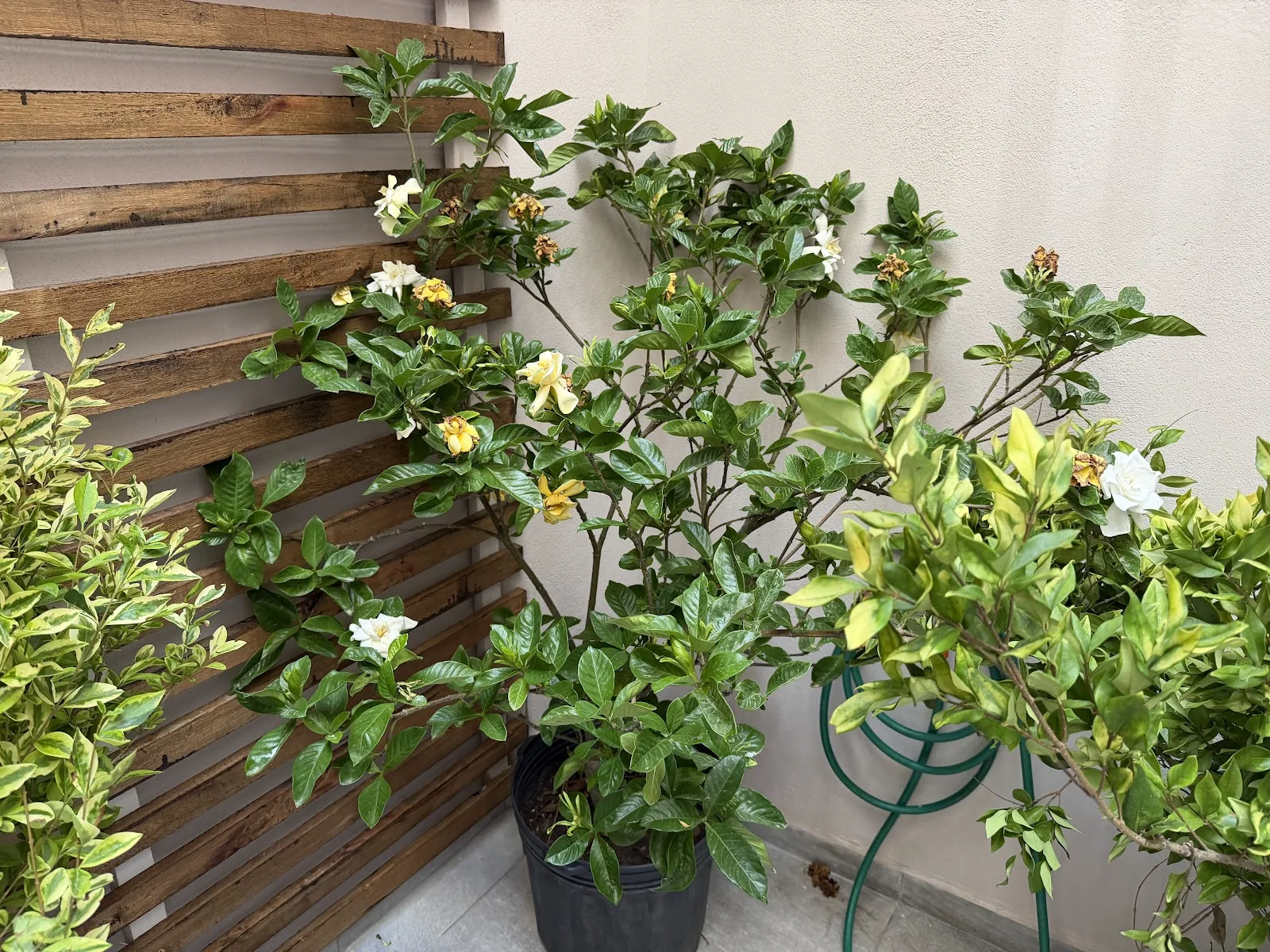 Venta - Casa PH con Garaje - Pocitos Nuevo - 2 Dormitorios — 20