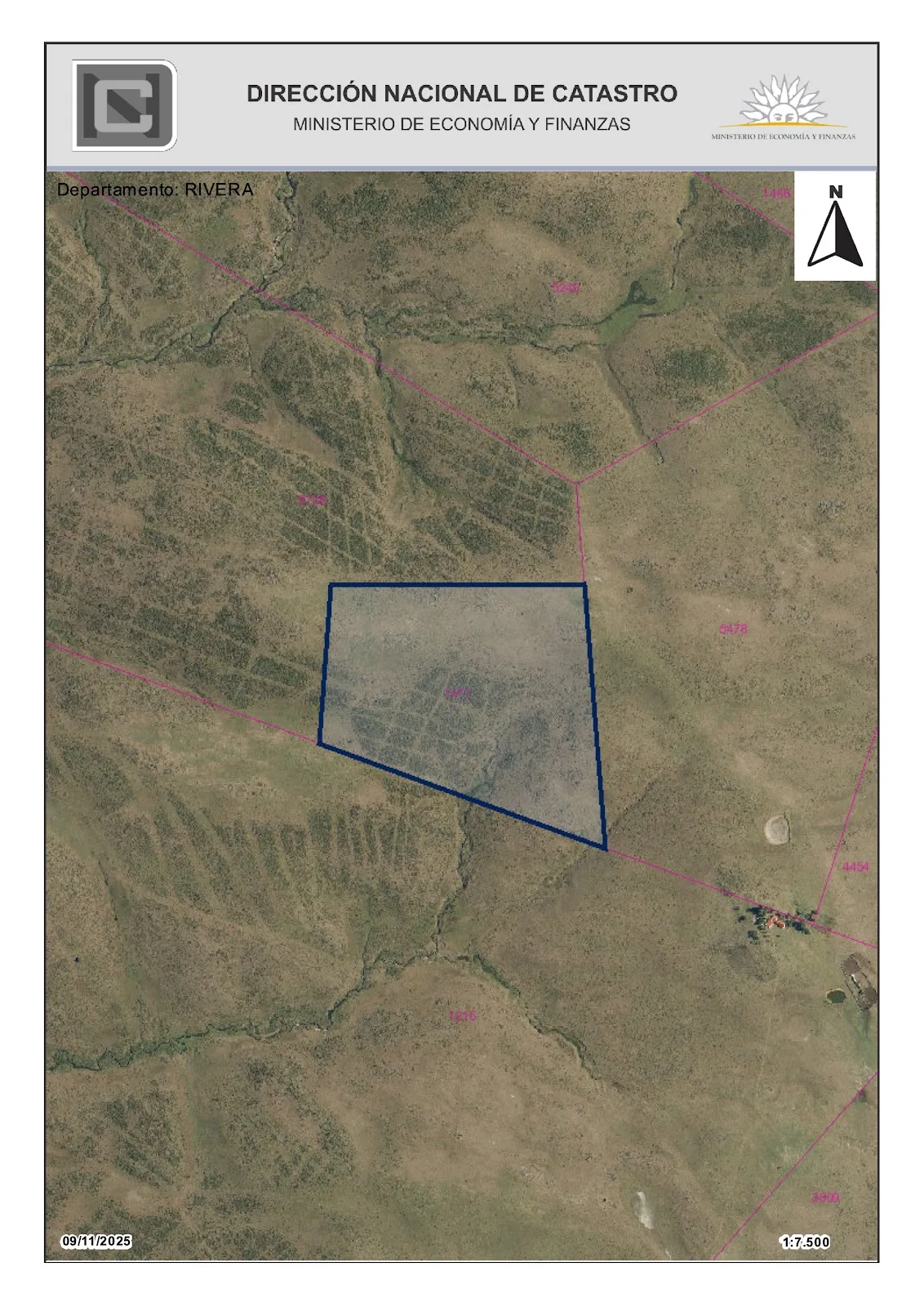 Venta - Campo - Chacra - Minas de Corrales - Rivera — 3