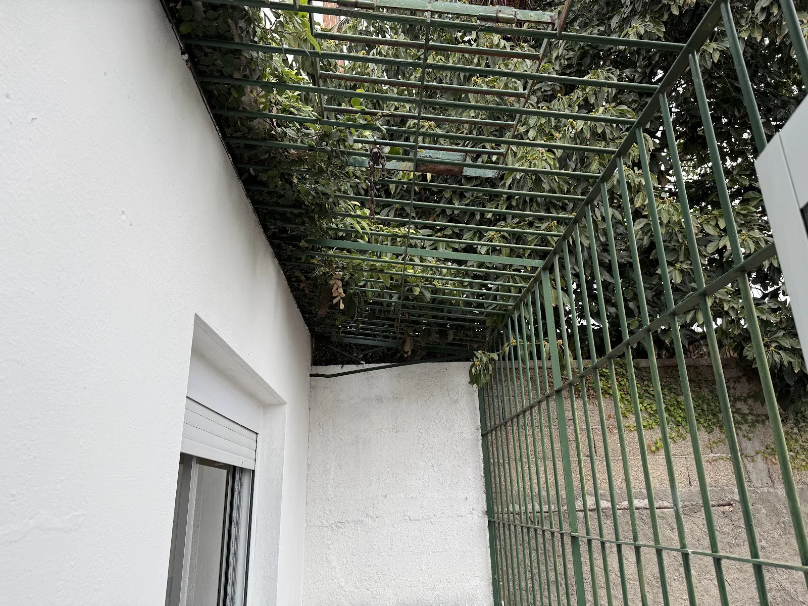 Alquiler - Apartamento - La Blanqueada - 1 Dormitorio — 15