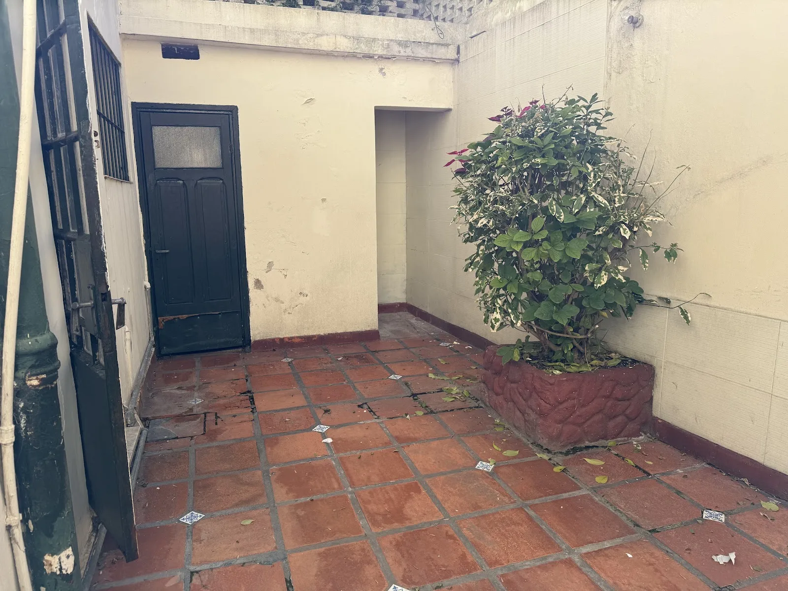 Venta - Casa - Pocitos - 3 Dormitorios — 11